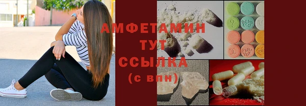 ГАЛЛЮЦИНОГЕННЫЕ ГРИБЫ Богданович