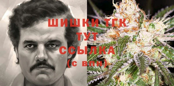 прущий лед Бородино