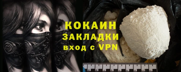 ГАЛЛЮЦИНОГЕННЫЕ ГРИБЫ Богданович
